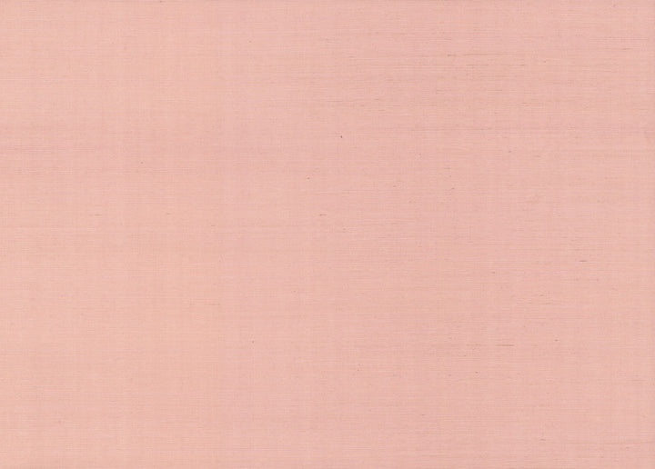 Palette Light Pink Wallpaper by Rifle Paper Co. Designer Rifle Paper Co. Covers about 72 square feet 36-in by 24-ft long roll Unpasted 0 - Swanky Fabrics -