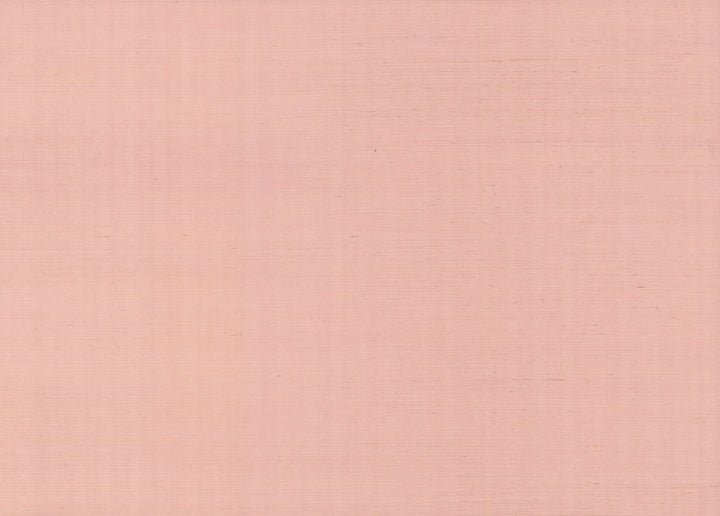 Palette Light Pink Wallpaper by Rifle Paper Co. Rifle Paper Co. Covers about 72 square feet 36-in by 24-ft long roll Unpasted 0 - Fabric Carolina -