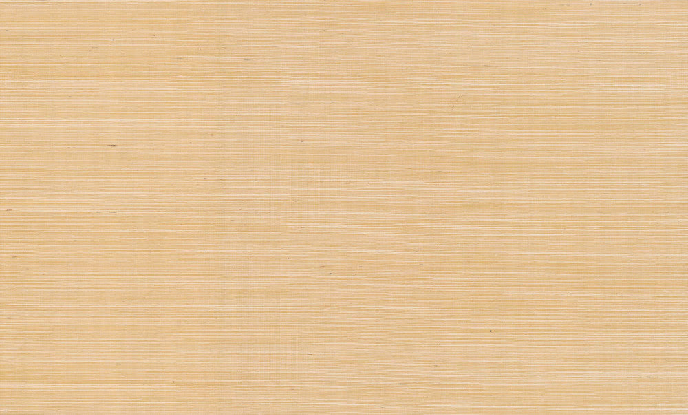 Palette Gold Metallic Wallpaper by Rifle Paper Co. Rifle Paper Co. Covers about 72 square feet 36-in by 24-ft long roll Unpasted 0 - Fabric Carolina -