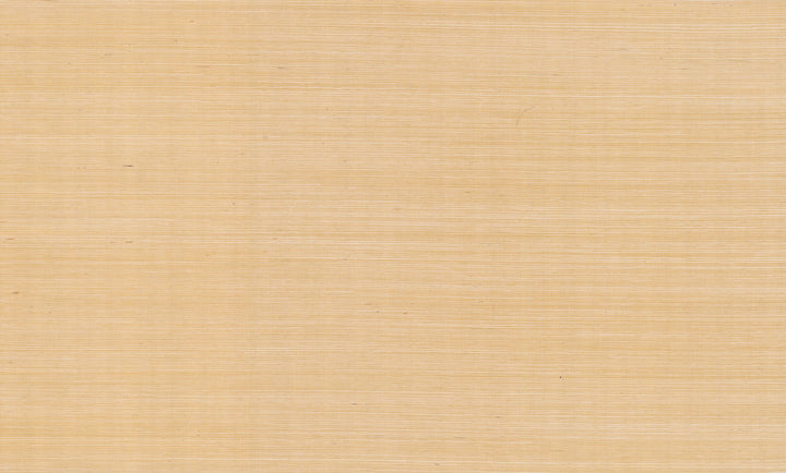 Palette Gold Metallic Wallpaper by Rifle Paper Co. Rifle Paper Co. Covers about 72 square feet 36-in by 24-ft long roll Unpasted 0 - Fabric Carolina -