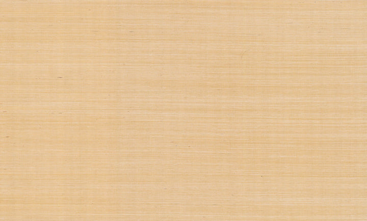 Palette Gold Metallic Wallpaper by Rifle Paper Co. Designer Rifle Paper Co. Covers about 72 square feet 36-in by 24-ft long roll Unpasted 0 - Swanky Fabrics -