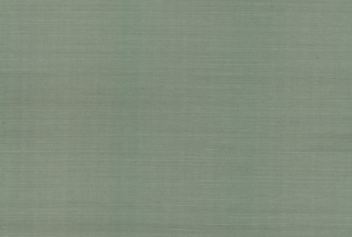 Palette Sage Wallpaper by York Wallcoverings Grasscloth II Covers about 72 square feet 36-in by 24-ft long roll Unpasted 0 - Fabric Carolina -