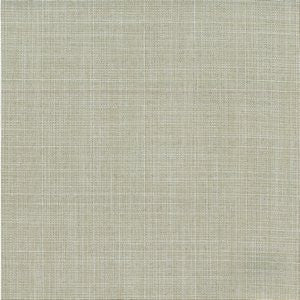 Ricki Fawn by Norbar Fabric Color/BEIGE 100 POLYESTER INDIA 54 - Fabric Carolina -
