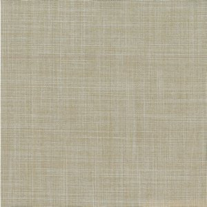 Ricki Taupe by Norbar Fabric See Sample 100 POLYESTER INDIA 54 - Fabric Carolina -