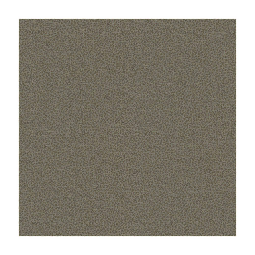 Rigel-11 by Kravet Design Fabric - POLY VINYL CHLORIDE - 100% Taiwan HEAVY Horizontal: - and Vertical: - 54 - Fabric Carolina -