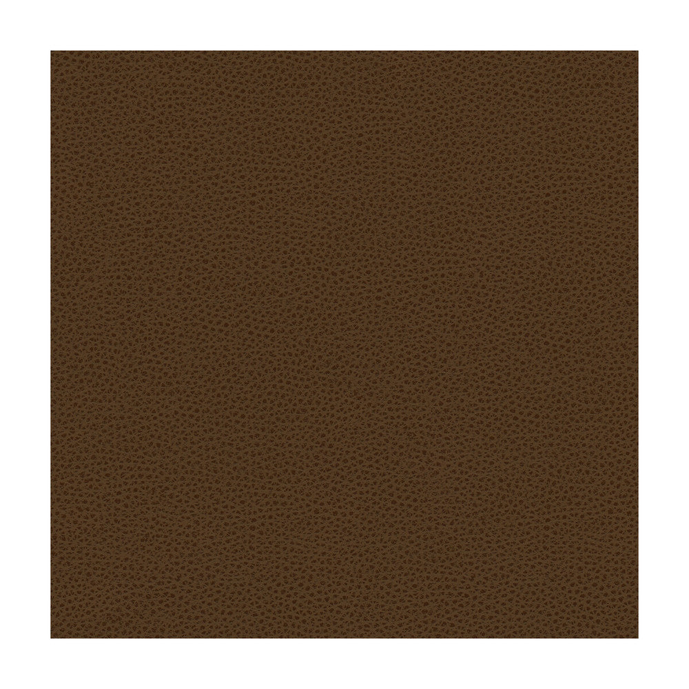 Rigel-6 by Kravet Design Fabric - POLY VINYL CHLORIDE - 100% Taiwan HEAVY Horizontal: - and Vertical: - 54 - Fabric Carolina -