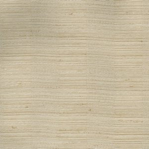 Ringo Bone 07 by Norbar Fabric RINGO 100% POLYESTER INDIA NO TESTING AVAIL 2 3/4"H 55 - Fabric Carolina -