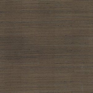 Ringo Latte 15 by Norbar Fabric RINGO 100% POLYESTER INDIA NO TESTING AVAIL 2 3/4"H 55 - Fabric Carolina -