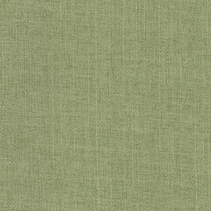 Rivalry 1 Sage by Stout Fabric Stout Fabric Rivalry 1 SageFabric LIVING IS EASY ALOE/MINERAL 100%POL CHINA </p><p>Repeat: H: 0.000, V: 0.000 56 in - Fabric Carolina -