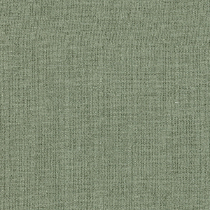 Rivalry 2 Cypress by Stout Fabric LIVING IS EASY ALOE/MINERAL 100%POL CHINA FLAME RETARDANT-U.F.A.C. CLASS 1 CATB 117-2013 WYZENBEEK 51 000 DOUBLE RUB WEAR TEST (HEAVY DUTY) Horizontal: 0.000 and Vertical: 0.000 56 in - Fabric Carolina -