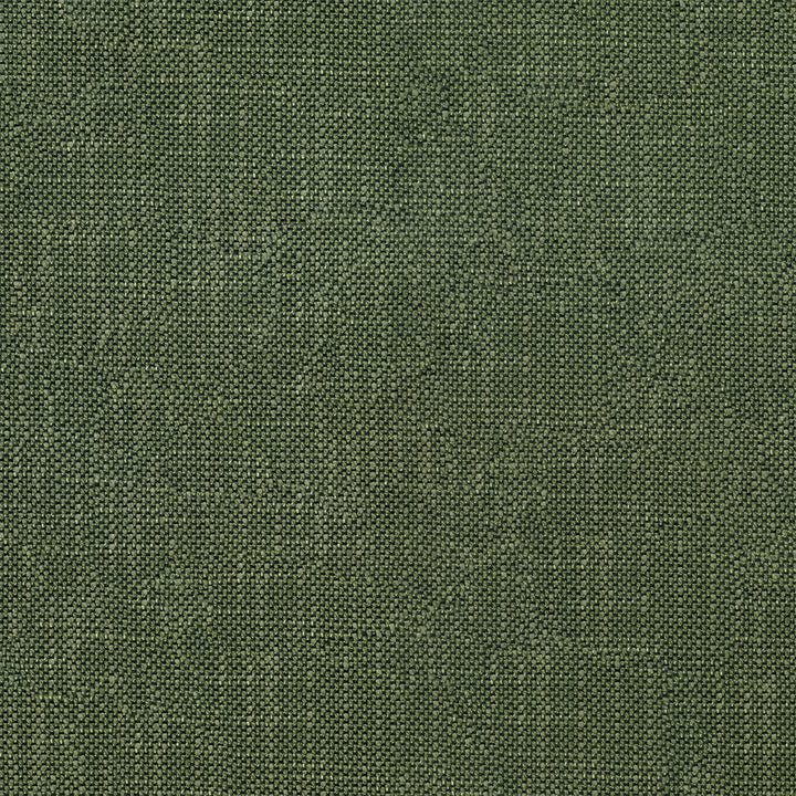 Striving 202 Alpine by ABBEYSHEA Fabric 100% Polyester CN 50,000 Double Rubs (Wyzenbeek) </p><p>Repeat: Horizontal: and Vertical: 57 in. (142 cm) - Fabric Carolina -