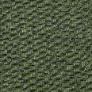 Striving 202 Alpine by ABBEYSHEA Fabric