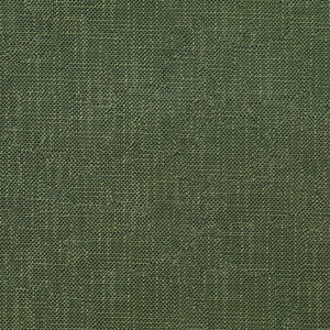 Striving 202 Alpine by ABBEYSHEA Fabric