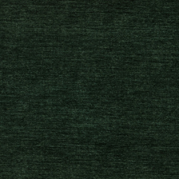 Rave # 618 Evergreen by Maxwell Fabric Pure & Simple Xviii 100% POLYESTER TAIWAN 57" - Fabric Carolina -