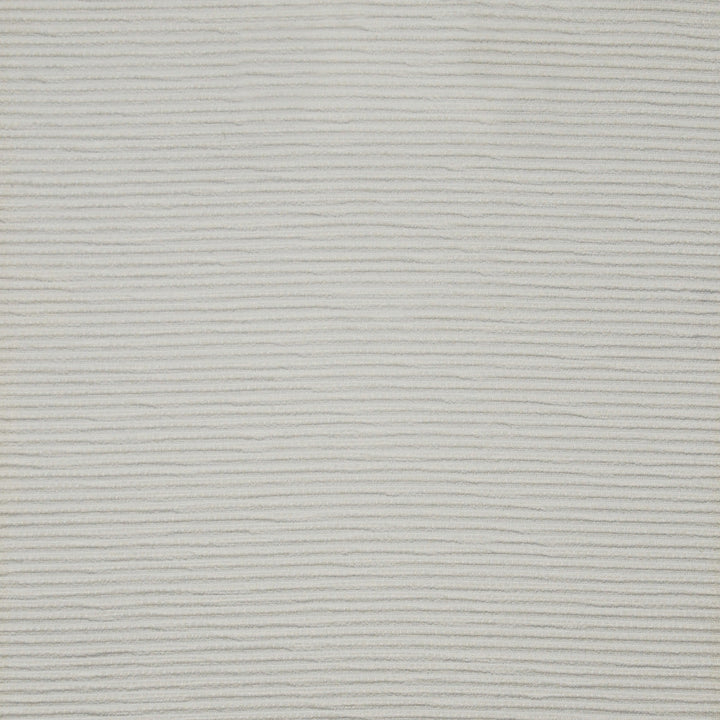 Ridgeback # 1002 Snow by Maxwell Fabric HOME & GARDEN-ACT III 100% BELLA-DURA POLYOLEFIN USA </p><p>Repeat: Horizontal: and Vertical: V-0.25 53/54" - Fabric Carolina -