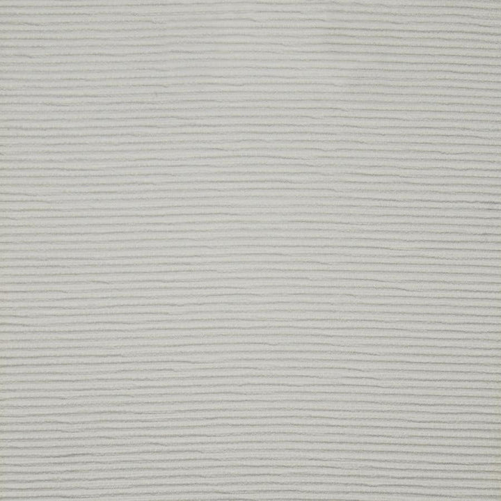 Ridgeback # 1002 Snow by Maxwell Fabric HOME & GARDEN-ACT III 100% BELLA-DURA POLYOLEFIN USA V-0.25" 53/54" - Fabric Carolina -