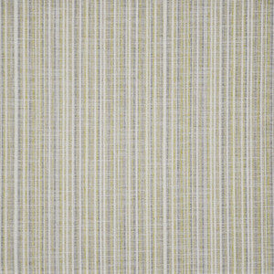Renzo # 243 Kiwi by Maxwell Fabric