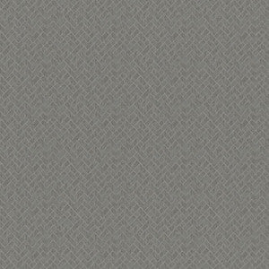Rhyme # 605 Thunder by Maxwell Fabric