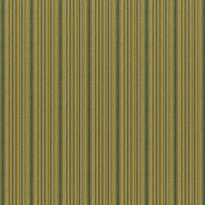 Rio Grande # 834 Cucumber by Maxwell Fabric