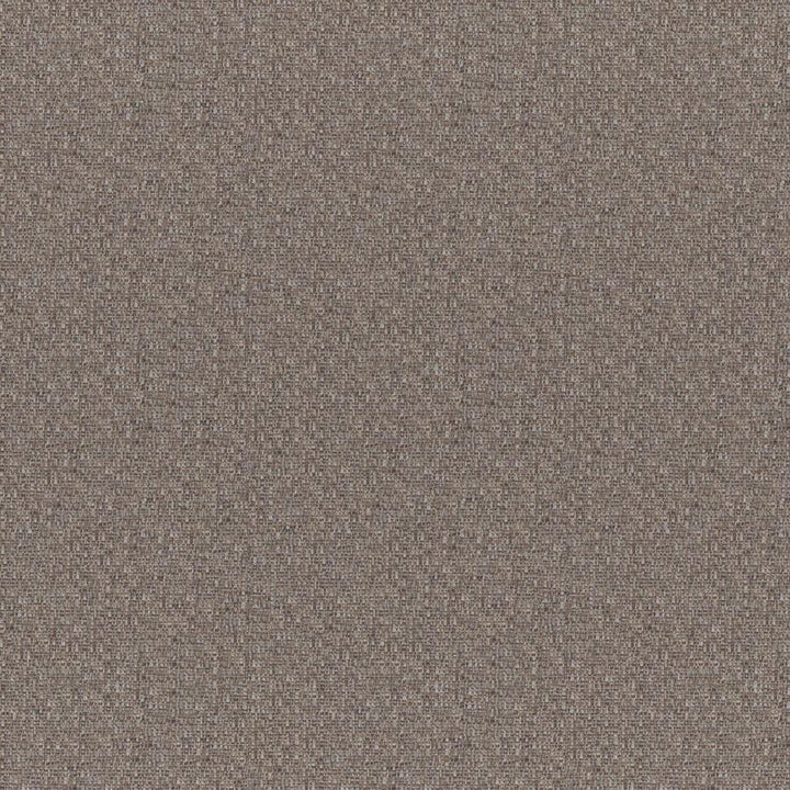 Rockhopper # 255 Otter by Maxwell Designer Fabric Colorguard-Nougat 55% ACRYLIC/45% POLYESTER TURKEY 54.3" - Swanky Fabrics -