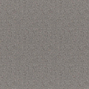 Rockhopper # 263 Ash by Maxwell Fabric
