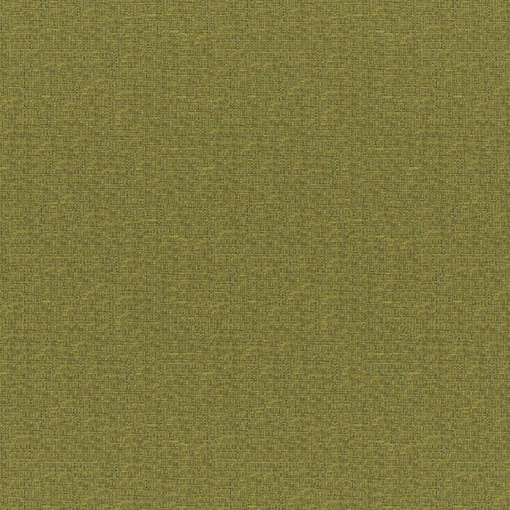 Rockhopper # 833 Fern by Maxwell Fabric Colorguard-Amazonia 55% ACRYLIC/45% POLYESTER TURKEY 54.3" - Fabric Carolina -