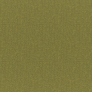 Rockhopper # 833 Fern by Maxwell Fabric