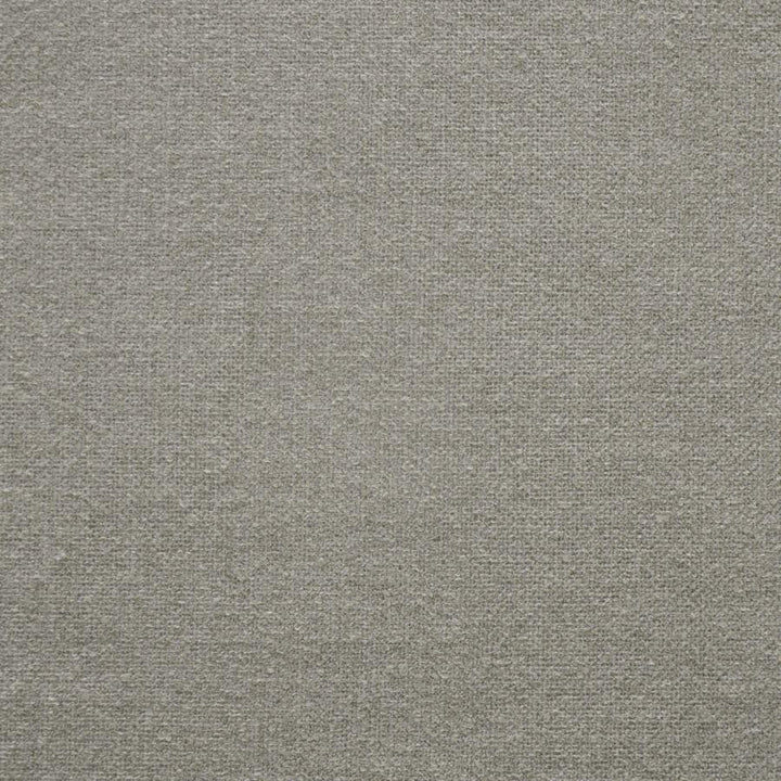 Rex # 810 Peanut by Maxwell Fabric Performance Wovens-Vol. V Badlands 68% ACETATE/29% POLYESTER/3% VISCOSE TURKEY 55" - Fabric Carolina -