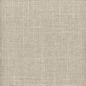 Robinson 3 Cement by Stout Fabric