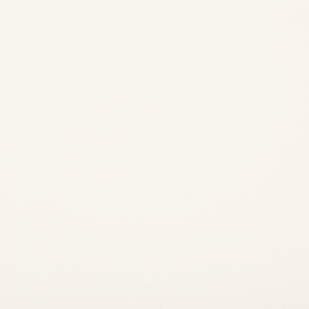 Rock Solid Coconut by Kravet Contract Fabric FAUX LEATHER EXTREME PERFORMANCE PVC - ARTIFICIAL LEATHER - 88%;POLYESTER - 12% China HEAVY Horizontal: - and Vertical: - 54 - Fabric Carolina -