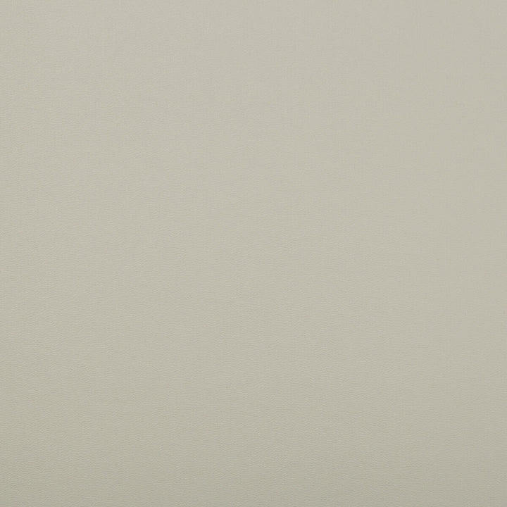 Rock Solid Gull by Kravet Contract Fabric FAUX LEATHER EXTREME PERFORMANCE PVC - ARTIFICIAL LEATHER - 88%;POLYESTER - 12% China HEAVY Horizontal: - and Vertical: - 54 - Fabric Carolina -