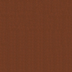 Rogue II RU750 Indian Red by Naugahyde Fabric