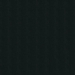 Rogue II RU810 Black by Naugahyde Fabric