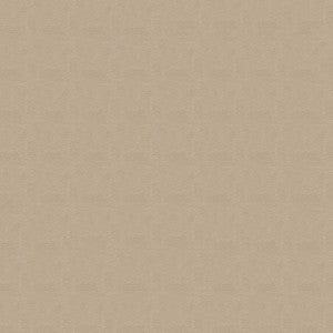 Rogue II RU920 Taupe by Naugahyde Fabric