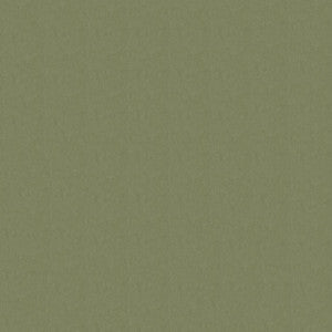 Rogue II RU940 Eucalyptus by Naugahyde Fabric