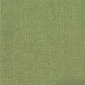 Rollins Kiwi by Norbar Fabric