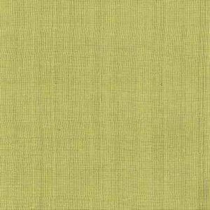 Romano Leaf by Norbar Fabric Color/GREEN-CITRUS 89% VISCOSE 11% SILK INDIA 15,000 WYZENBEEK 54" - Fabric Carolina -