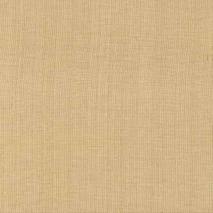 Romano Tussah by Norbar Fabric Color/BEIGE 89% VISCOSE 11% SILK INDIA 15,000 WYZENBEEK 54" - Fabric Carolina -