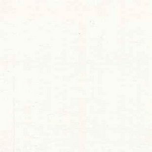 Romano White by Norbar Fabric See Sample 89% VISCOSE 11% SILK INDIA 15,000 WYZENBEEK 54" - Fabric Carolina -
