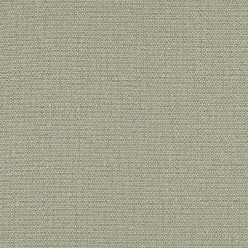 Roman 33J6891 by JF Fabric Winning Weaves IV 95% Polyester, 5% Cotton China 185000 Horizontal: and Vertical: 58 - Fabric Carolina -
