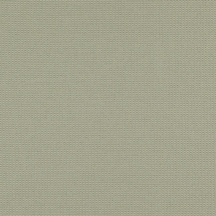 Roman 33J6891 by JF Fabric Winning Weaves IV 95% Polyester, 5% Cotton China 185000 Horizontal: and Vertical: 58 - Fabric Carolina -