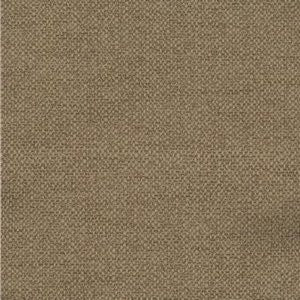 Romeo Almond by Norbar Fabric Color/BROWN-TAN 100% POLYESTER 30,000 WYZENBEEK 54" - Fabric Carolina -