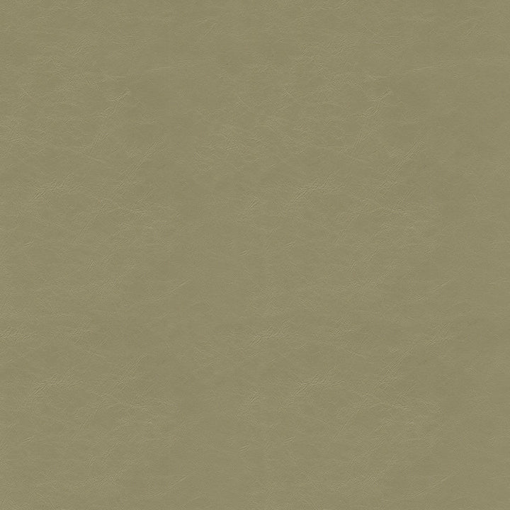 Rooker Moss by Magnolia Designer Fabric Required Minimum Quantity Purchase: 2 yards Content: 100% Vinyl Origin: CHINA Performance: 1,500,000 WB Repeat: Horizontal: 0 and Vertical: 0 Width: 54" Uses: Contract, Upholstery