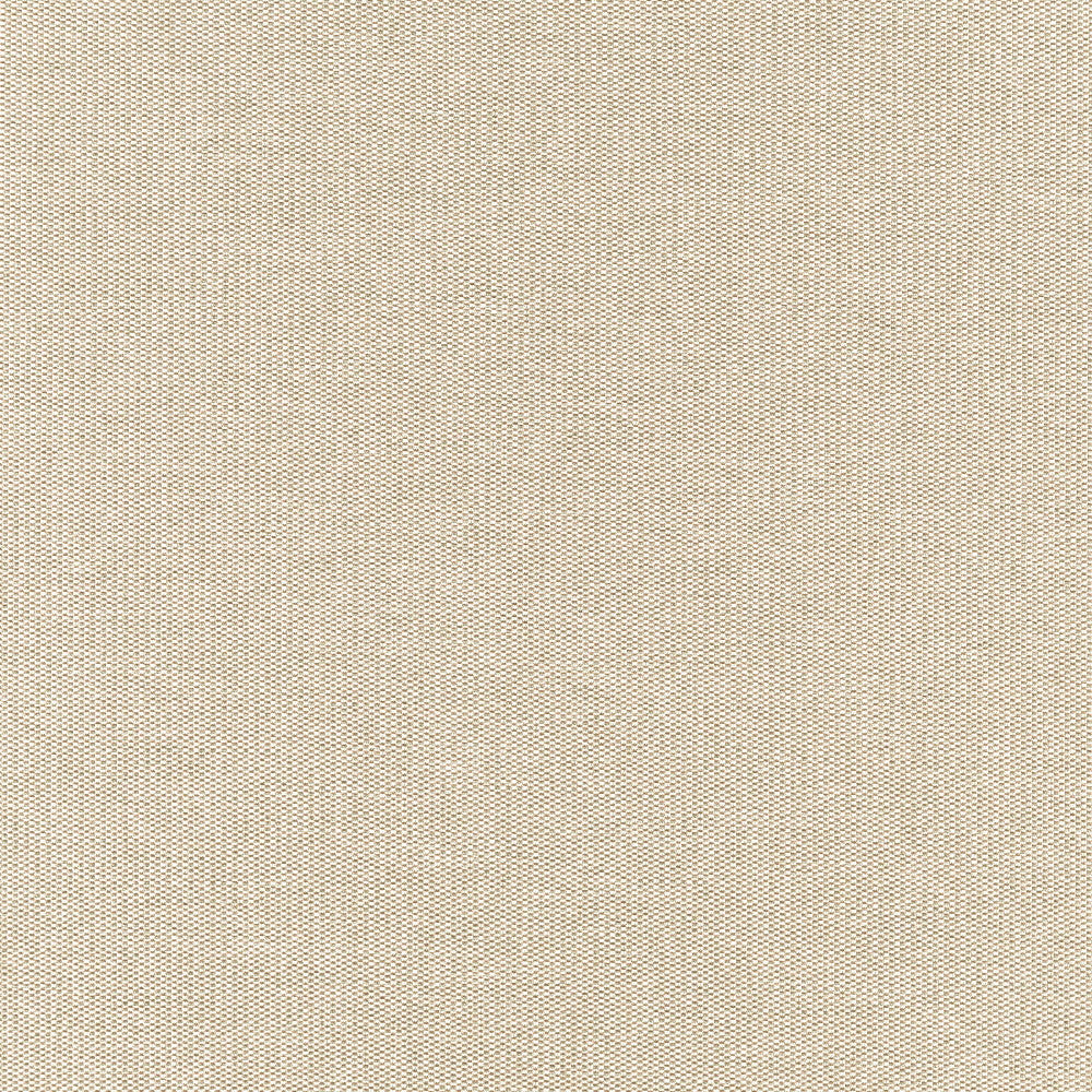 ROOKIE 91J7351 by JF Designer Fabric Winning Weaves VI - Woven Book 90% Polyester, 10% Viscose India  Horizontal:  and Vertical:  57  - Swanky Fabrics -