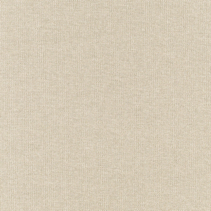 Rookie 91J7351 by JF Designer Fabric Winning Weaves VI - Woven Book 90% Polyester, 10% Viscose India 25000 Horizontal: and Vertical: 57 - Swanky Fabrics -