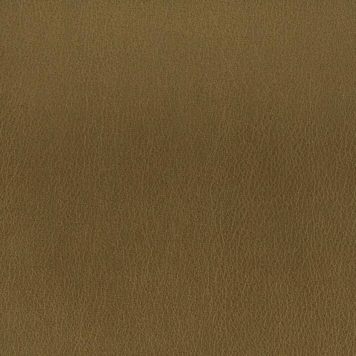 Roulette 1 Bronze by Stout Fabric LEATHER LOOKS II 100%OTH 9%OTH CHINA FLAME RETARDANT-U.F.A.C. CLASS 1 FLAME RETARDANT-N.F.P.A. 260A CLASS 1 CATB 117-2013 WYZENBEEK 100 000 DOUBLE RUB WEAR TEST (HEAVY DUTY) Horizontal: 0 and Vertical: 0 54 in - Fabric Carolina -