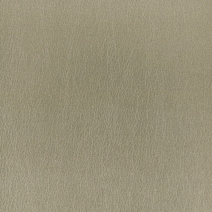 Roulette 2 Platinum by Stout Designer Fabric LEATHER LOOKS II 100%OTH 9%OTH CHINA FLAME RETARDANT-U.F.A.C. CLASS 1 FLAME RETARDANT-N.F.P.A. 260A CLASS 1 CATB 117-2013 WYZENBEEK 100 000 DOUBLE RUB WEAR TEST (HEAVY DUTY) </p><p>Repeat: 0 54 in - Swanky Fabrics -