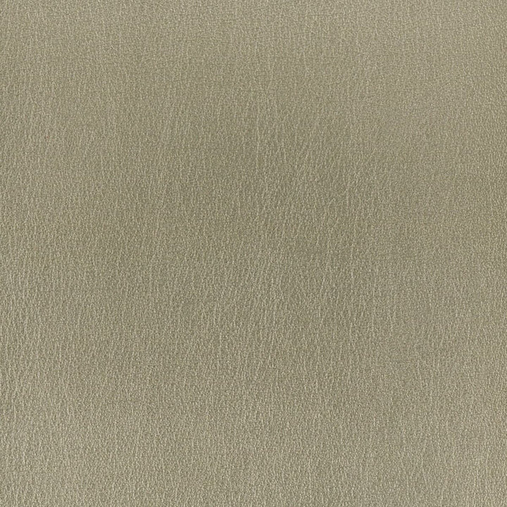Roulette 2 Platinum by Stout Fabric LEATHER LOOKS II 100%OTH 9%OTH CHINA FLAME RETARDANT-U.F.A.C. CLASS 1 FLAME RETARDANT-N.F.P.A. 260A CLASS 1 CATB 117-2013 WYZENBEEK 100 000 DOUBLE RUB WEAR TEST (HEAVY DUTY) </p><p>Repeat: 0 54 in - Fabric Carolina -