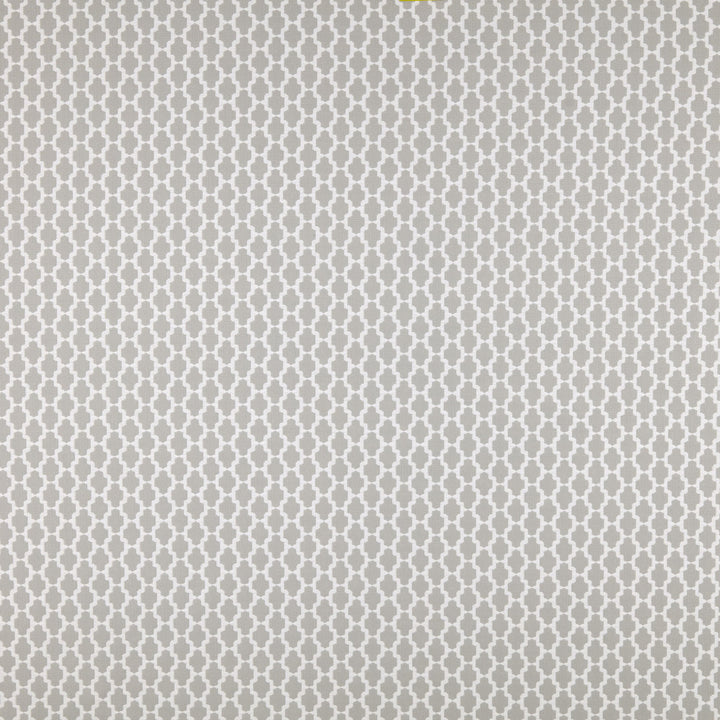 Rousseau 3 Platinum by Marcus William Fabric Marcus William Fabric Rousseau 3 PlatinumFabric Kai/Marcus William Linnae Volume I 100%Pol India </p><p>Repeat: H: 1.375, V: 24.75 55 in - Fabric Carolina -