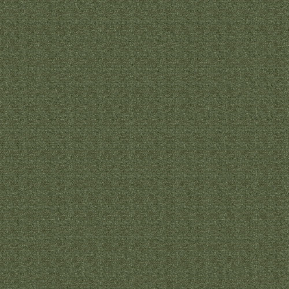 Berry 24 Light Green by ABBEYSHEA Fabric N/A 100% Polyester China 60,000 Double Rubs </p><p>Repeat: Horizontal: and Vertical: 54" (137 cm) - Fabric Carolina -